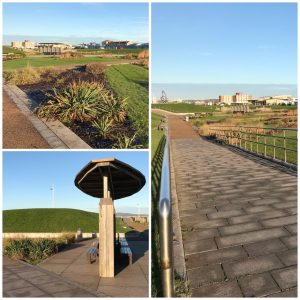 Shingle Garden